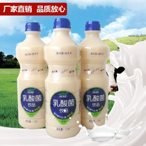 荷润乳酸菌饮品1.25L代加工贴牌OEM/ODM