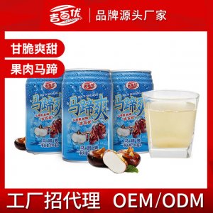 吉百优马蹄爽果汁贴牌OEM/ODM