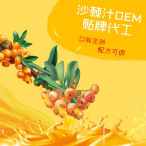 沙棘果汁饮料代加工贴牌OEM/ODM