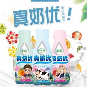 合益优真奶优养乐多活性乳酸菌饮料310mlx12瓶代加工贴牌OEM/ODM