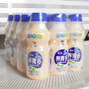 牛奶养胃多乳酸菌酸奶饮品可OEM/ODM代工