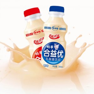 乳酸菌原味风味酸奶饮料OEM代加工