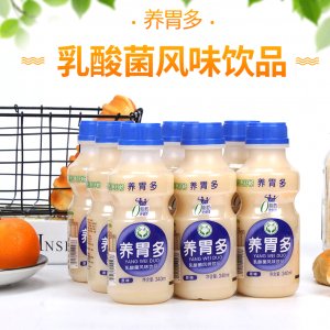 养胃多乳酸菌340毫升x12瓶原味牛奶饮品贴牌OEM/ODM