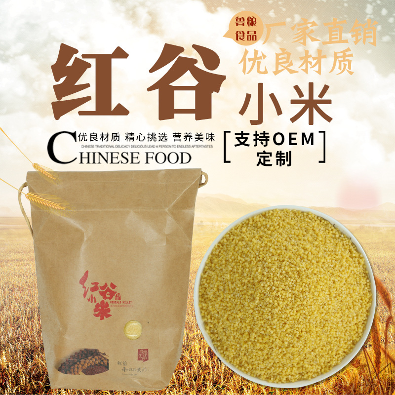 红谷米黄小米新米小黄米 批发农家月子米黄金苗小米红谷米OEM/ODM定制代加工