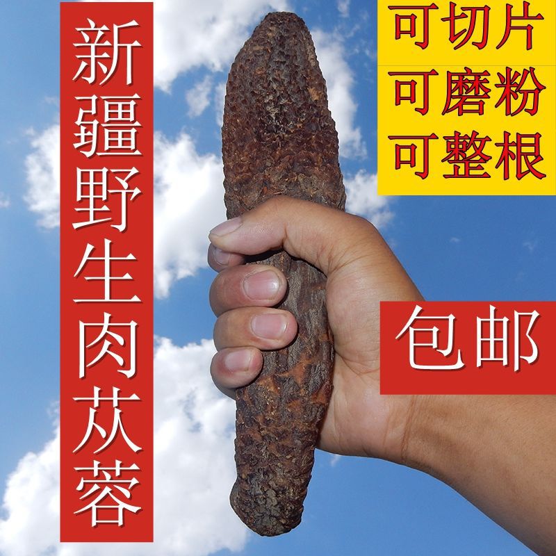 新疆沙漠肉苁蓉贴牌定制代加工