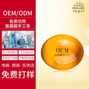 氨基酸控油保湿卸妆洁面皂贴牌OEM/ODM