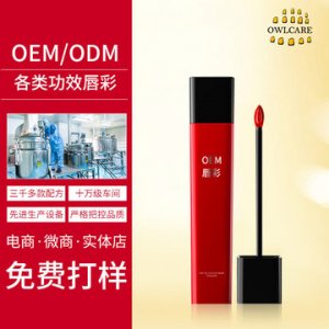 网红热推不沾杯唇彩丰唇蜜 加工定制贴牌OEM/ODM