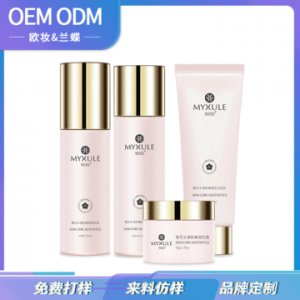 院线高端护肤套盒樱花美肌四件套OEM/ODM代加工