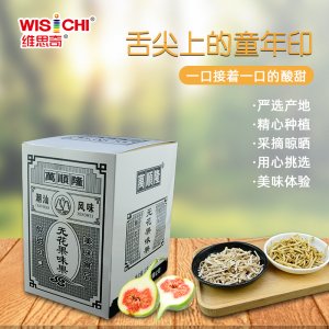 广东维思奇食品有限公司