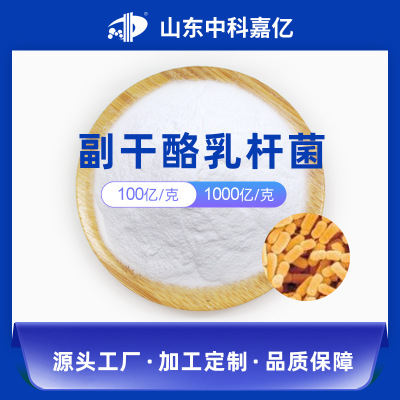 副干酪乳杆菌可OEM/ODM代工