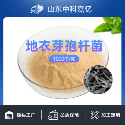 地衣芽孢杆菌1000亿可OEM/ODM代工