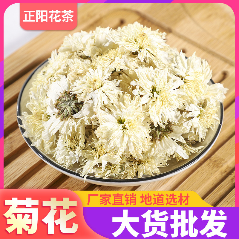 散装贡菊冲泡菊花茶OEM代加工