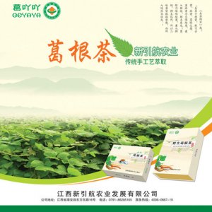 葛吖吖葛根茶300g/盒贴牌OEM/ODM