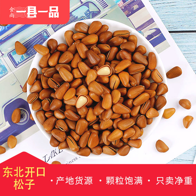 東北開口松子休閑零食OEM/ODM代加工