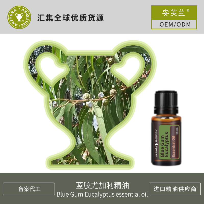 蓝胶尤加利精油OEM/ODM定制代加工