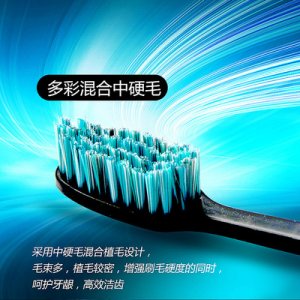 男士去烟渍茶渍中硬毛牙唰贴牌OEM/ODM