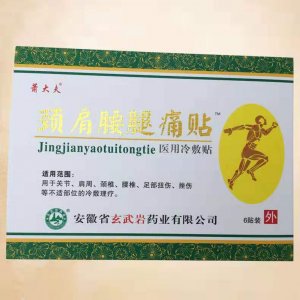 阜阳大鼎药业有限公司