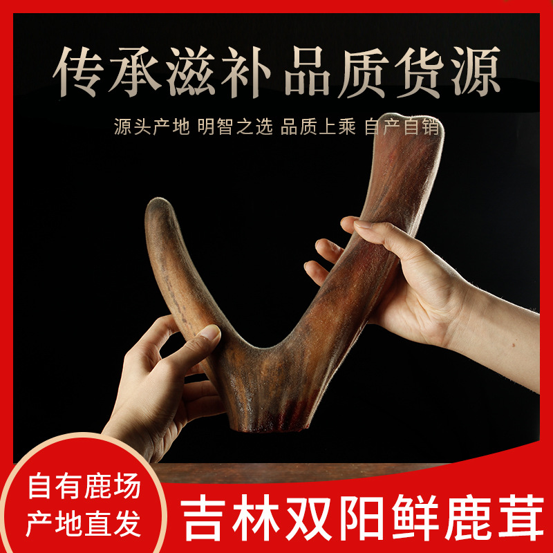 鹿乡新鲜整支鲜鹿茸贴牌定制代加工