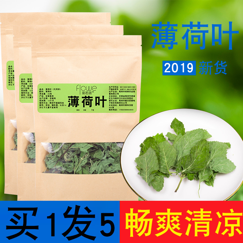 薄荷叶批发清凉茶贴牌OEM/ODM