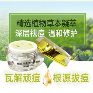 虹美淡化痘印痘坑草本净肤祛痘膏贴牌OEM/ODM