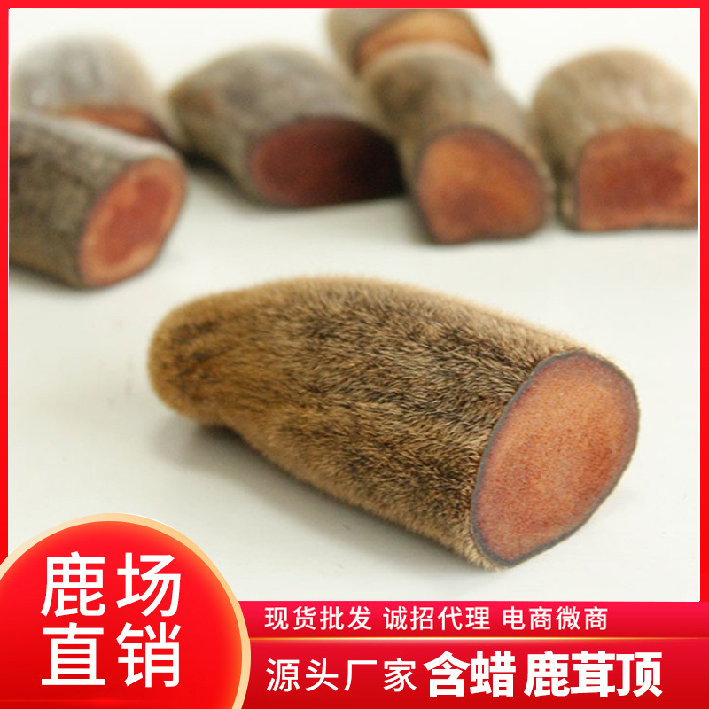 梅花鹿皮干鹿茸片鹿茸头顶嘴头OEM/ODM代加工