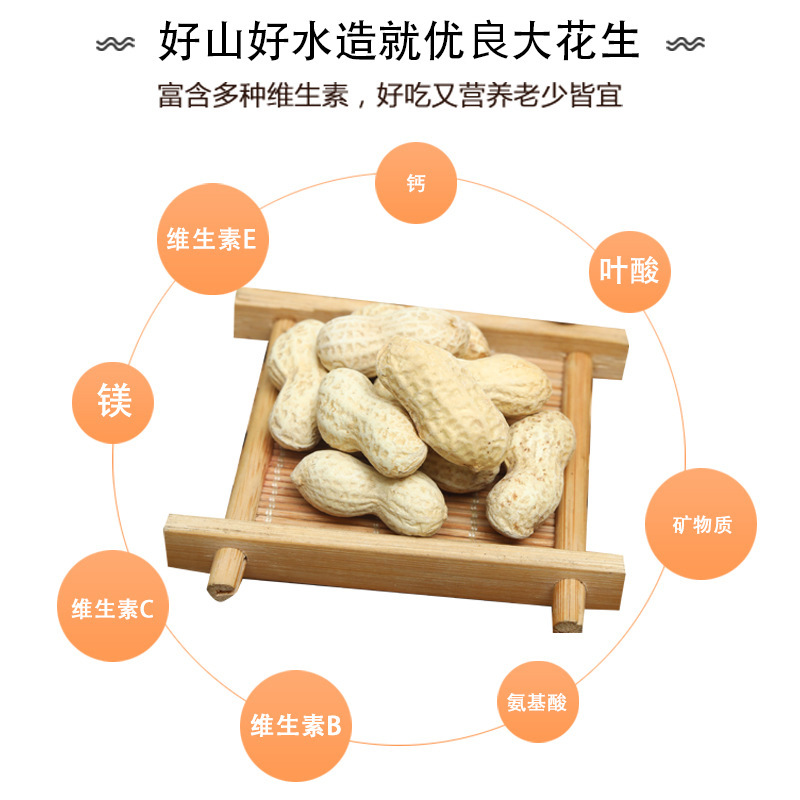 石家庄妙食代食品有限公司