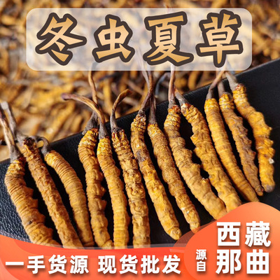 西藏那曲冬蟲夏草貼牌定制代加工