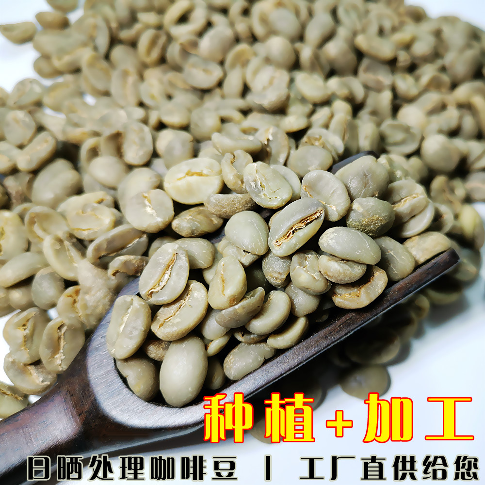 普洱咖啡批发生豆一级水洗豆新鲜全红果OEM/ODM定制代加工