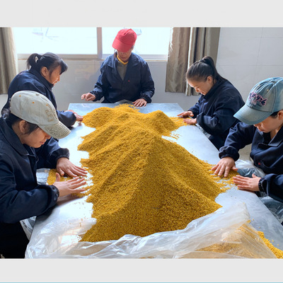 桂花茶500克 花量大从优贴牌OEM/ODM