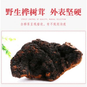 白桦茸精粉桦褐孔菌固体饮料代加工贴牌OEM/ODM