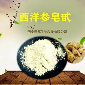 西洋参皂甙 80% 西洋参提取物可OEM/ODM代工