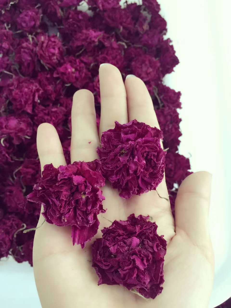 花冠茶半开花冠茶OEM代加工