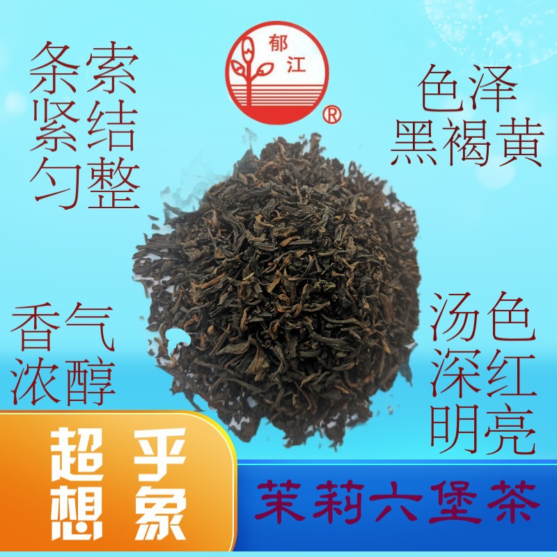 茉莉花茶广西横县郁江茉莉六堡茶贴牌定制代加工