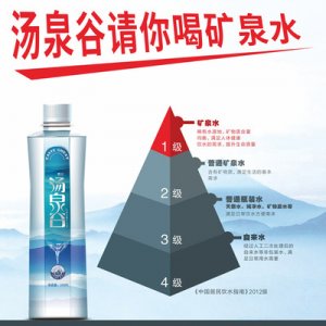 定制水矿泉水530ml贴牌OEM/ODM