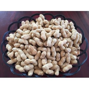 龙岩特产2.5kg蒜味小珍珠花生 休闲零食小吃坚果炒货类食品OEM代加工