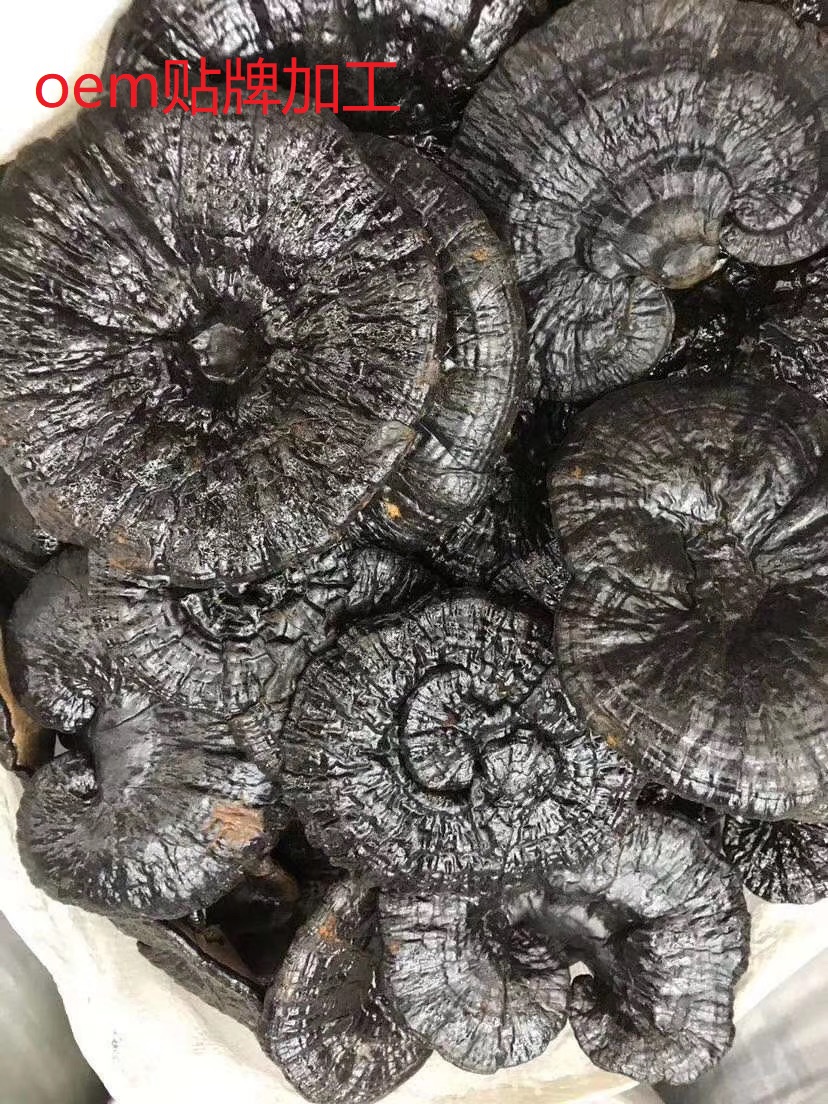 灵芝OEM代加工