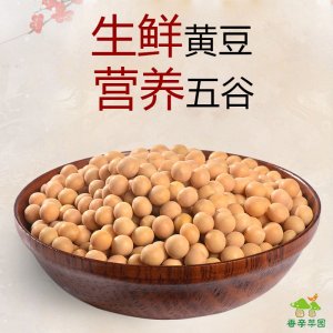 香亲菜园 东北大豆OEM代加工