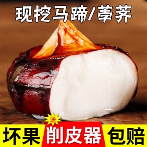 即食珍珠小马蹄果OEM/ODM