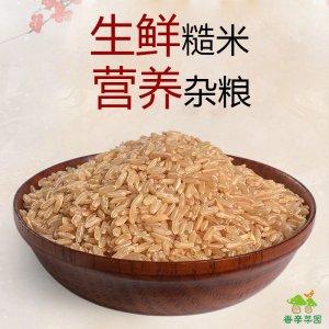 香亲菜园 糙米OEM/ODM