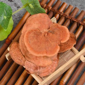 卢阳芝贴牌OEM/ODM