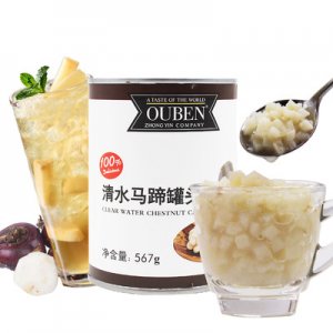 马蹄罐头OEM/ODM定制代加工