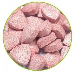 益生菌成人儿童肠道肠胃压片式糖果奶片咀嚼片OEM代加工