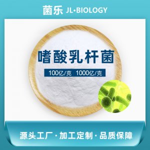 乳酸菌原菌粉OEM/ODM代加工