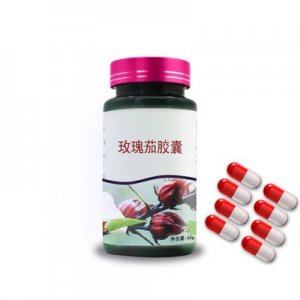 蛹虫草压片糖果OEM/ODM代加工