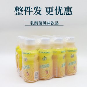 椰汁岛复合果汁益生菌代加工贴牌OEM/ODM