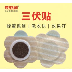 爱必励三伏贴贴牌OEM/ODM