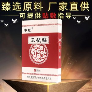 三伏贴艾灸贴贴牌OEM/ODM