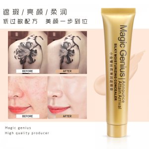 小金管遮瑕膏代加工贴牌OEM/ODM
