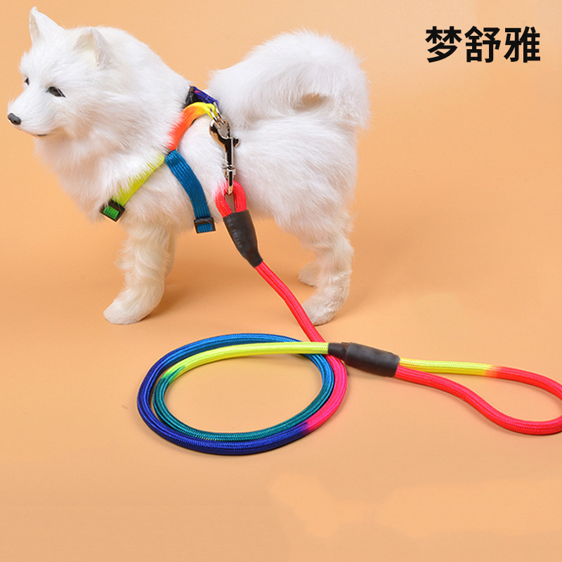 中小型狗狗圆形牵引绳OEM/ODM定制代加工