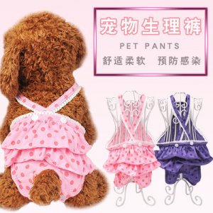 狗狗背带生理裤贴牌OEM/ODM